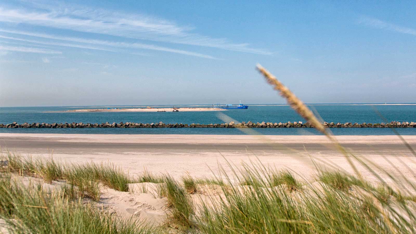 Sustainable coastal protection