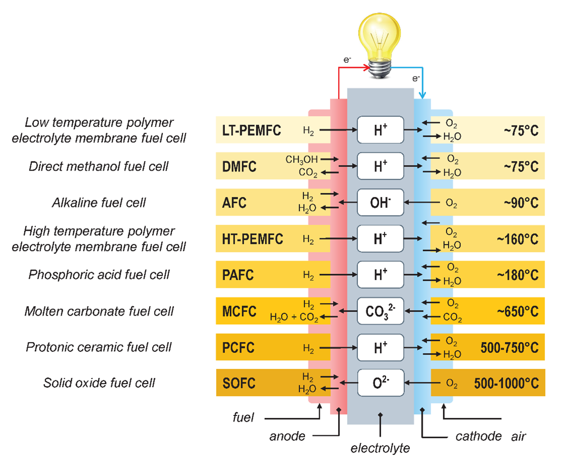 Schematic of different fuel cell types - van Biert & Visser, 2022 Schematic of different fuel cell types