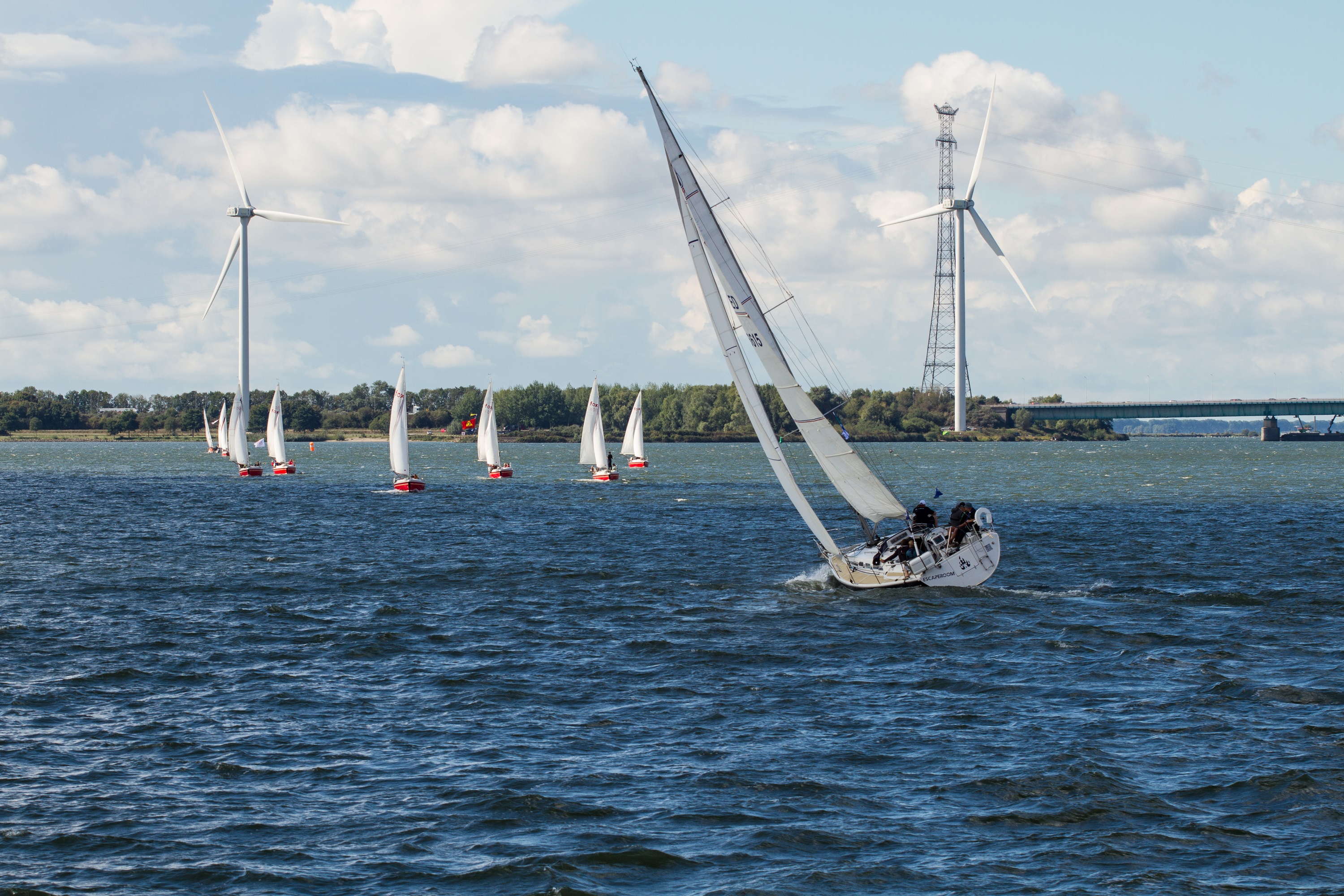 Sailing boat Royal IHC